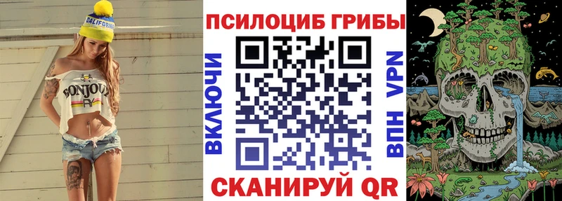 где купить наркоту  Неман  Псилоцибиновые грибы мицелий 